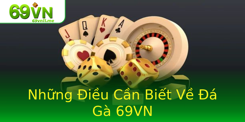 Những Điều Cần Biết Về Đá Gà 69VN Những Điều Cần Biết Về Đá Gà 69VN