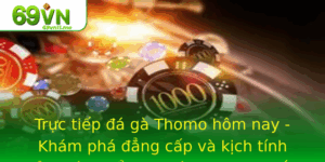 Truc Tiep A Ga Thomo Hom Nay Kham Pha Ang Cap Va Kich Tinh Cua Mon The Thao Dan Gian Ac Sac